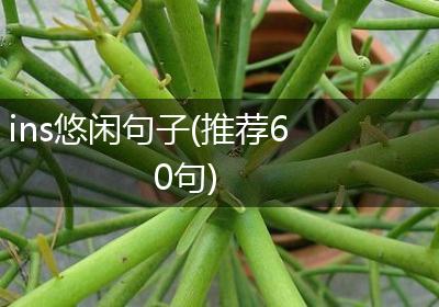 ins悠闲句子(推荐60句)