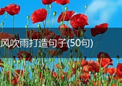 风吹雨打造句子(50句)