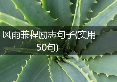 风雨兼程励志句子(实用50句)