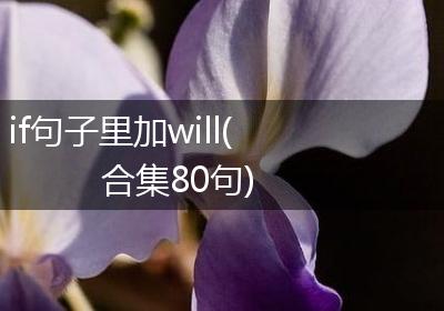 if句子里加will(合集80句)