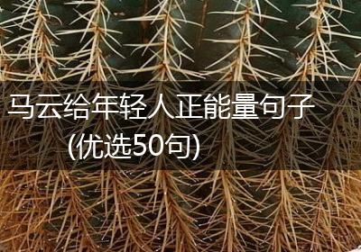 马云给年轻人正能量句子(优选50句)