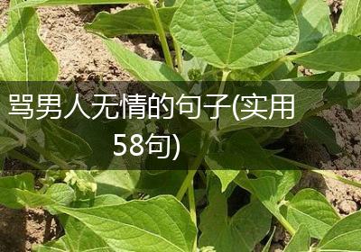 骂男人无情的句子(实用58句)
