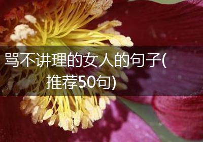骂不讲理的女人的句子(推荐50句)