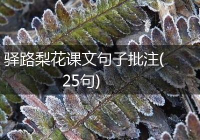 驿路梨花课文句子批注(25句)