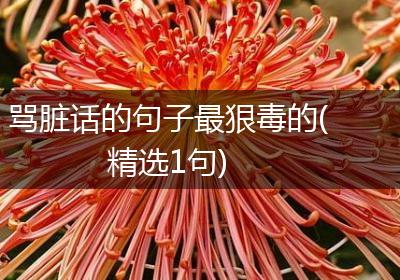 骂脏话的句子最狠毒的(精选1句)