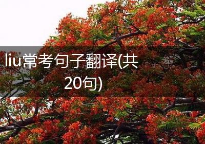 liu常考句子翻译(共20句)