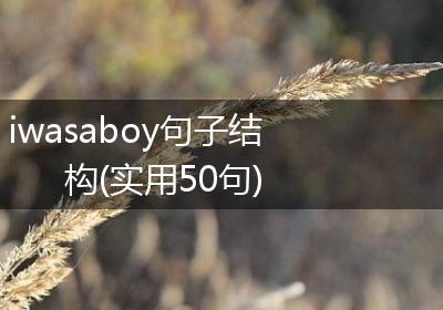iwasaboy句子结构(实用50句)