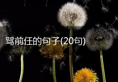 骂前任的句子(20句)