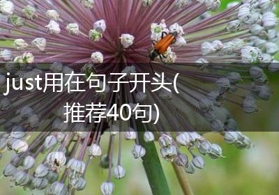 just用在句子开头(推荐40句)