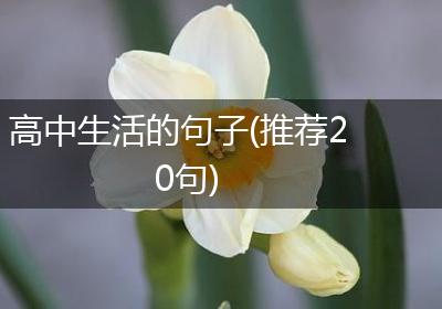 高中生活的句子(推荐20句)