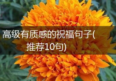 高级有质感的祝福句子(推荐10句)