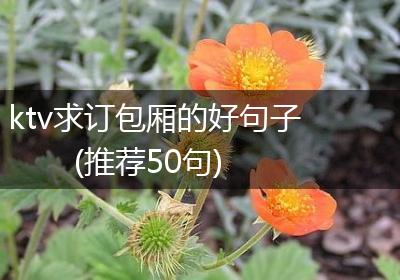 ktv求订包厢的好句子(推荐50句)