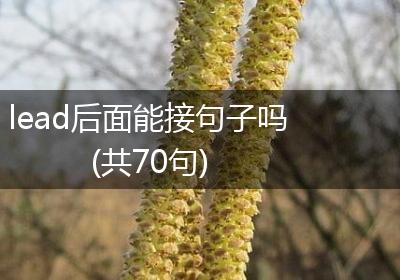 lead后面能接句子吗(共70句)