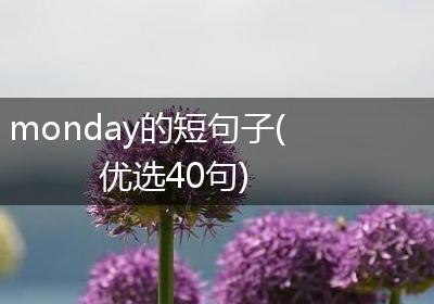 monday的短句子(优选40句)