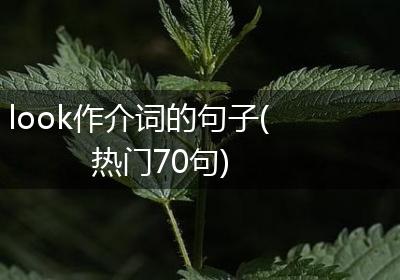 look作介词的句子(热门70句)