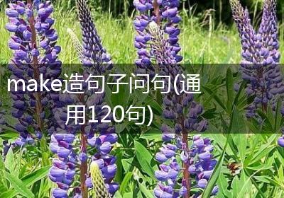 make造句子问句(通用120句)
