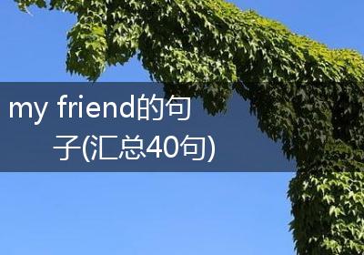 my friend的句子(汇总40句)