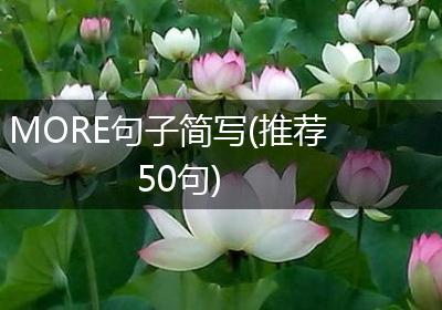 MORE句子简写(推荐50句)