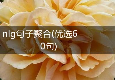 nlg句子聚合(优选60句)