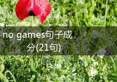 no games句子成分(21句)