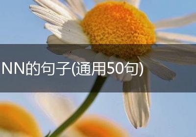 NN的句子(通用50句)
