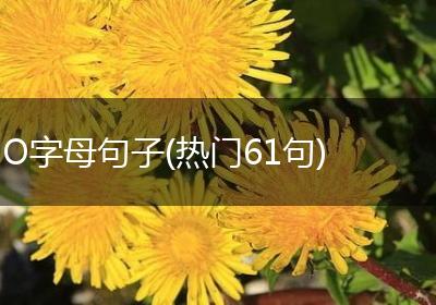 O字母句子(热门61句)