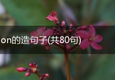 on的造句子(共80句)