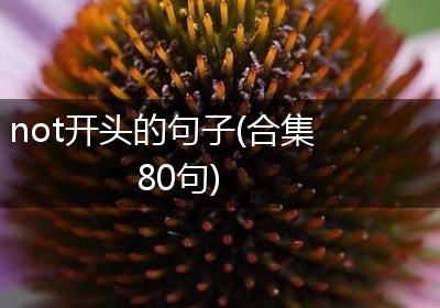 not开头的句子(合集80句)