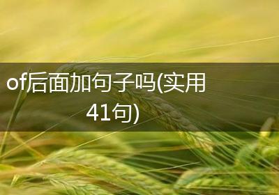 of后面加句子吗(实用41句)