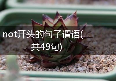 not开头的句子谓语(共49句)