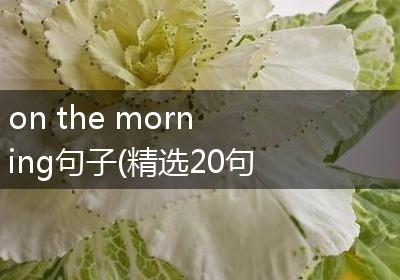 on the morning句子(精选20句)
