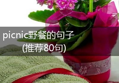 picnic野餐的句子(推荐80句)
