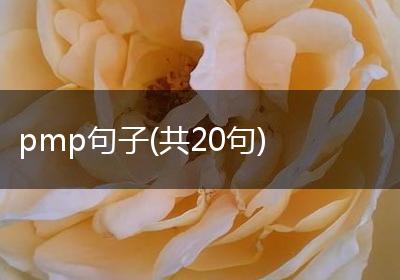 pmp句子(共20句)