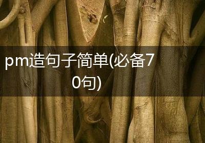 pm造句子简单(必备70句)