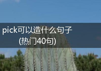 pick可以造什么句子(热门40句)