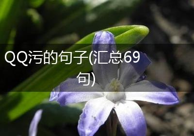 QQ污的句子(汇总69句)