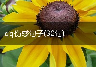 qq伤感句子(30句)