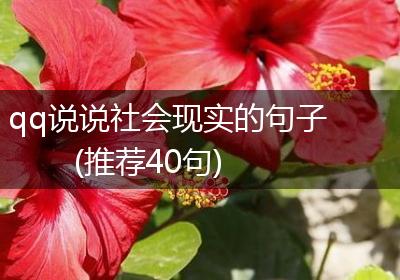 qq说说社会现实的句子(推荐40句)