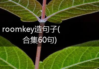 roomkey造句子(合集60句)