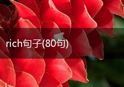 rich句子(80句)