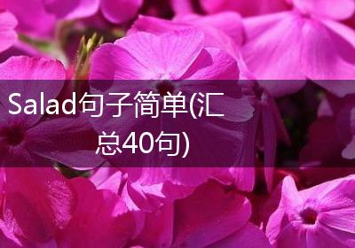 Salad句子简单(汇总40句)