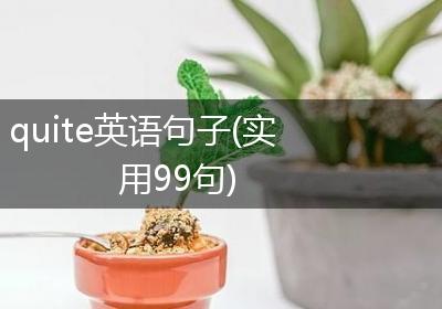 quite英语句子(实用99句)