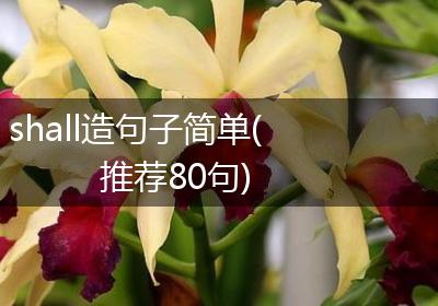 shall造句子简单(推荐80句)
