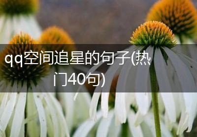 qq空间追星的句子(热门40句)