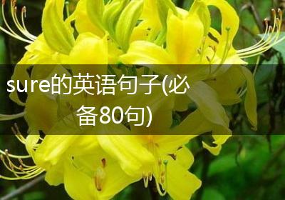 sure的英语句子(必备80句)