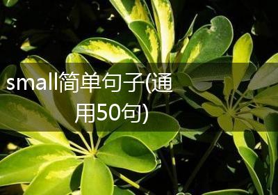 small简单句子(通用50句)