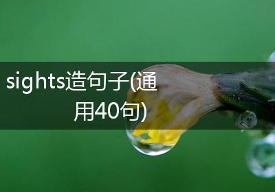 sights造句子(通用40句)