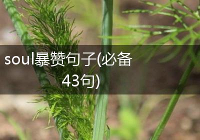 soul暴赞句子(必备43句)
