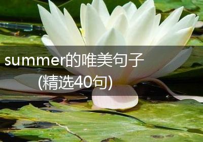 summer的唯美句子(精选40句)