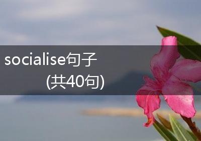 socialise句子(共40句)